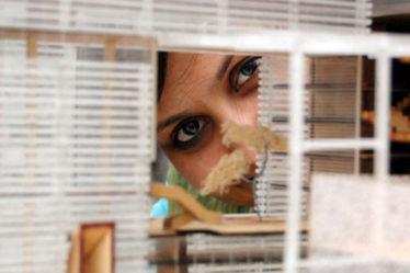 Women in architecture