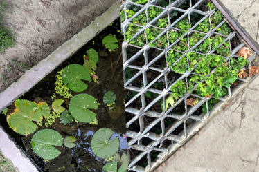 sustainability